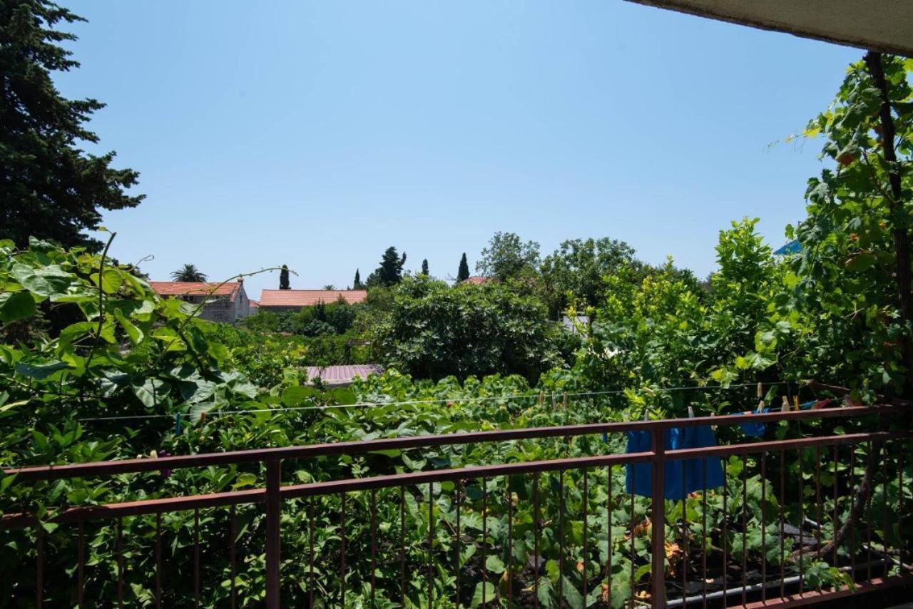 Apartments Ljiljana Orebić Εξωτερικό φωτογραφία